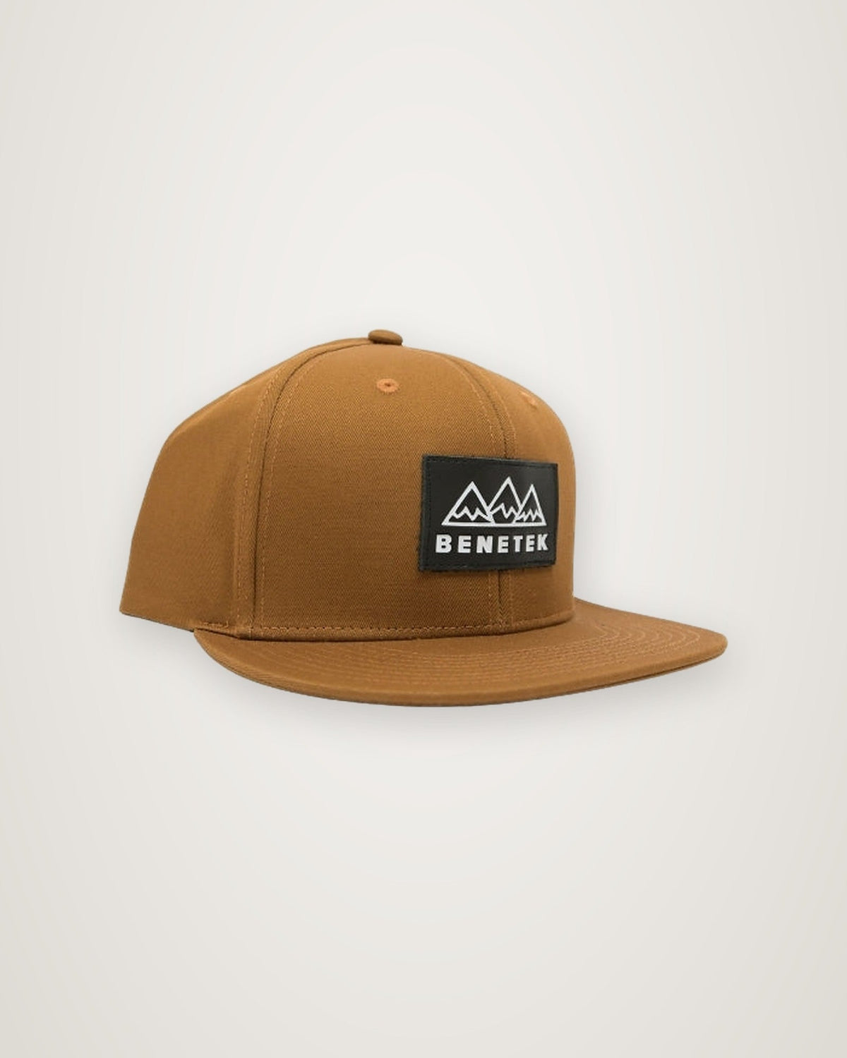 SNAPBACK HAT: BROWN